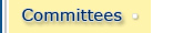 Kiwanis Committees